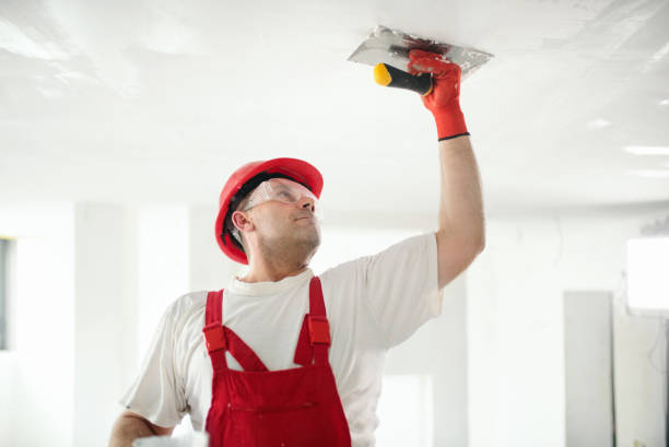 Best Eco-Friendly and Low-VOC Painting  in Cottonwood Shores, TX